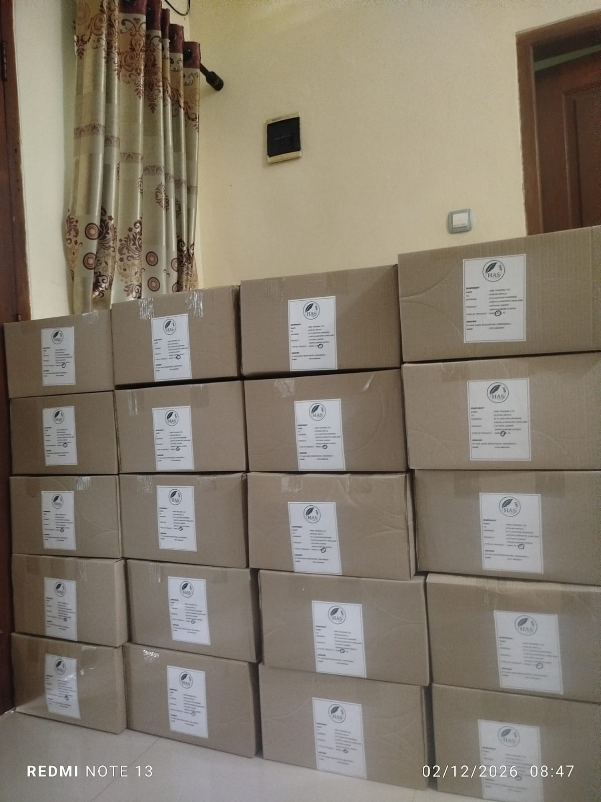 Export Dried Indian Almond Leaves