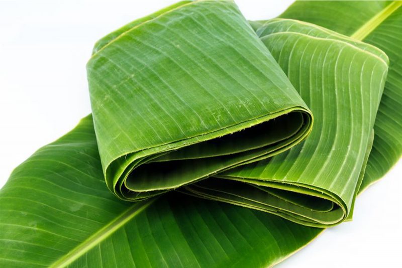 Fresh banana leaves from PT. RHF Mitra Sejahtera for food and packaging export