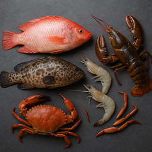 Fresh and frozen seafood export from PT. RHF Mitra Sejahtera Indonesia